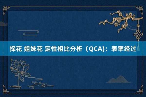 探花 姐妹花 定性相比分析（QCA)：表率经过