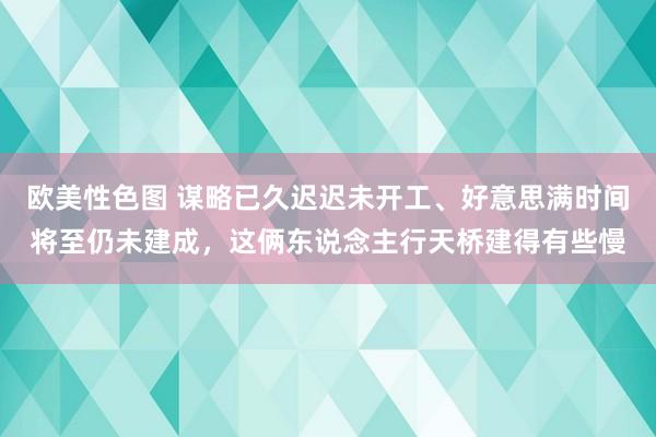 欧美性色图 谋略已久迟迟未开工、好意思满时间将至仍未建成，这俩东说念主行天桥建得有些慢