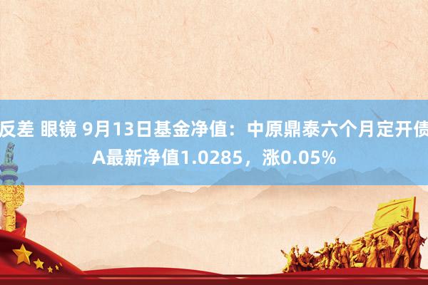 反差 眼镜 9月13日基金净值：中原鼎泰六个月定开债A最新净值1.0285，涨0.05%