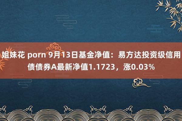 姐妹花 porn 9月13日基金净值：易方达投资级信用债债券A最新净值1.1723，涨0.03%