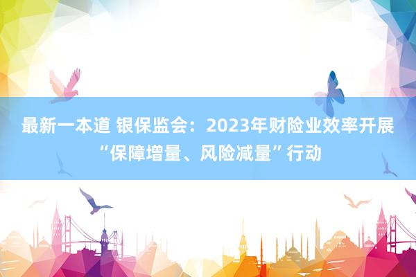 最新一本道 银保监会：2023年财险业效率开展“保障增量、风险减量”行动