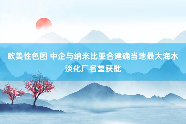 欧美性色图 中企与纳米比亚合建确当地最大海水淡化厂名堂获批