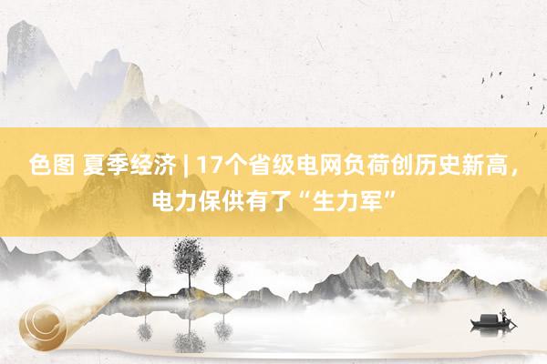 色图 夏季经济 | 17个省级电网负荷创历史新高，电力保供有了“生力军”