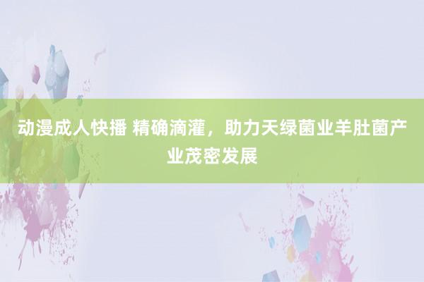 动漫成人快播 精确滴灌，助力天绿菌业羊肚菌产业茂密发展