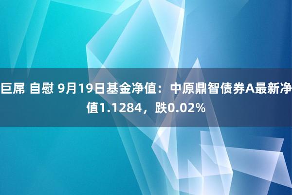 巨屌 自慰 9月19日基金净值：中原鼎智债券A最新净值1.1284，跌0.02%