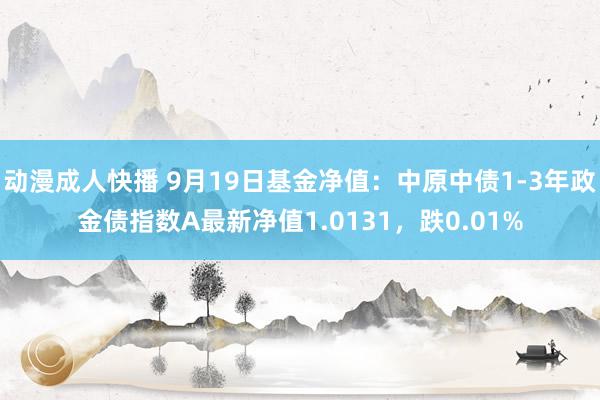 动漫成人快播 9月19日基金净值：中原中债1-3年政金债指数A最新净值1.0131，跌0.01%