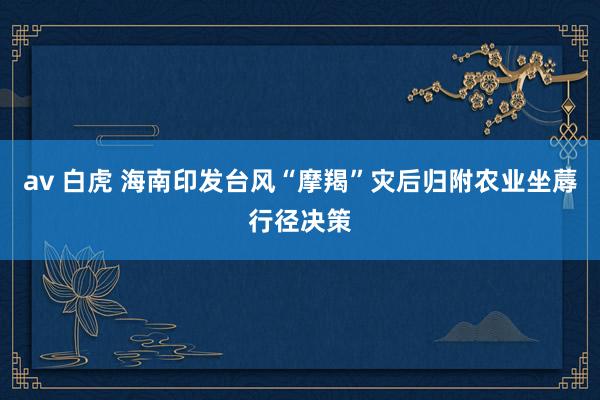 av 白虎 海南印发台风“摩羯”灾后归附农业坐蓐行径决策