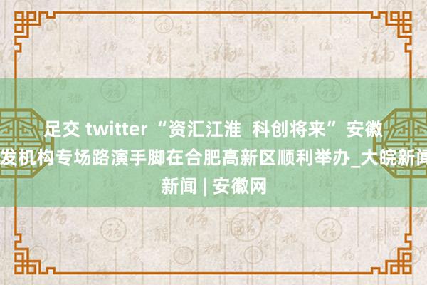 足交 twitter “资汇江淮  科创将来” 安徽省新式研发机构专场路演手脚在合肥高新区顺利举办_大皖新闻 | 安徽网