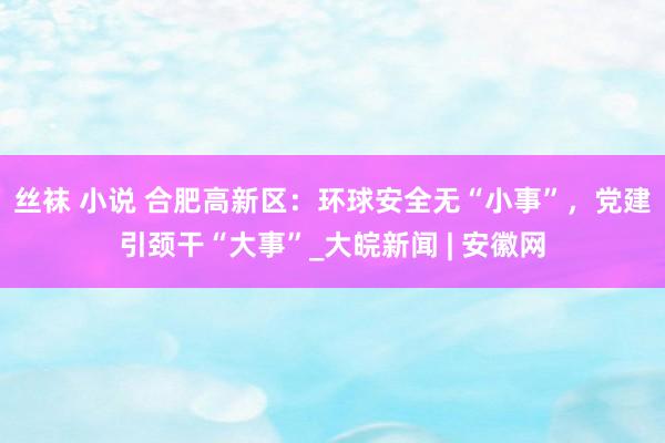 丝袜 小说 合肥高新区：环球安全无“小事”，党建引颈干“大事”_大皖新闻 | 安徽网