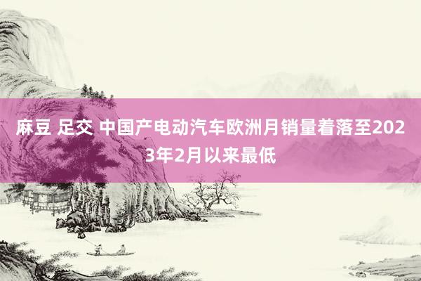 麻豆 足交 中国产电动汽车欧洲月销量着落至2023年2月以来最低