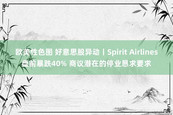 欧美性色图 好意思股异动丨Spirit Airlines盘前暴跌40% 商议潜在的停业恳求要求