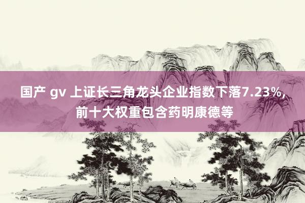 国产 gv 上证长三角龙头企业指数下落7.23%， 前十大权重包含药明康德等