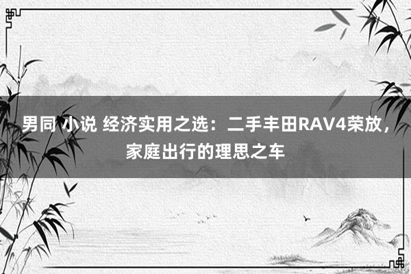 男同 小说 经济实用之选：二手丰田RAV4荣放，家庭出行的理思之车