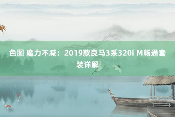 色图 魔力不减：2019款良马3系320i M畅通套装详解