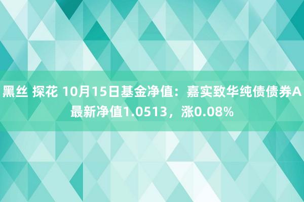 黑丝 探花 10月15日基金净值：嘉实致华纯债债券A最新净值1.0513，涨0.08%