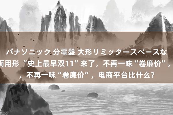 パナソニック 分電盤 大形リミッタースペースなし 露出・半埋込両用形 “史上最早双11”来了，不再一味“卷廉价”，电商平台比什么？