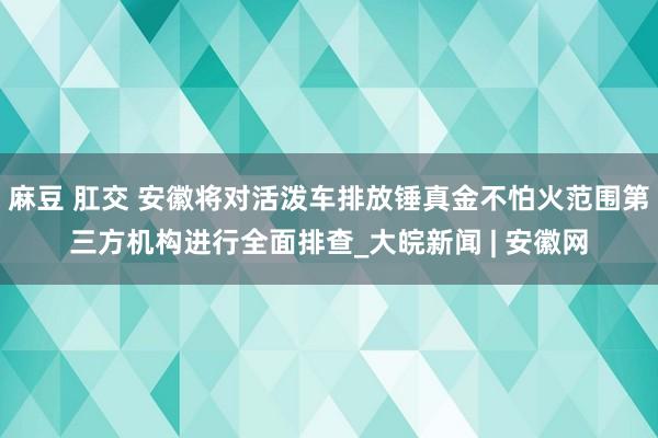 麻豆 肛交 安徽将对活泼车排放锤真金不怕火范围第三方机构进行全面排查_大皖新闻 | 安徽网