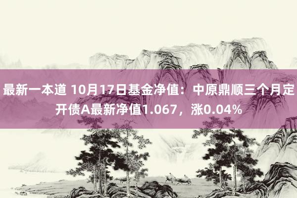 最新一本道 10月17日基金净值：中原鼎顺三个月定开债A最新净值1.067，涨0.04%