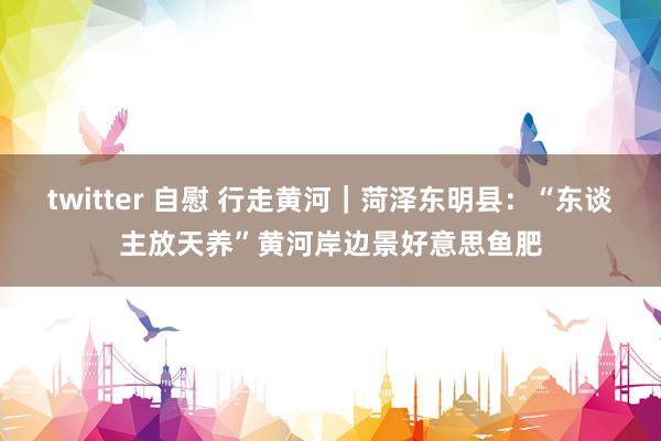 twitter 自慰 行走黄河｜菏泽东明县：“东谈主放天养”黄河岸边景好意思鱼肥