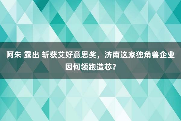 阿朱 露出 斩获艾好意思奖，济南这家独角兽企业因何领跑造芯？