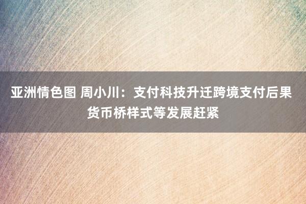 亚洲情色图 周小川：支付科技升迁跨境支付后果 货币桥样式等发展赶紧