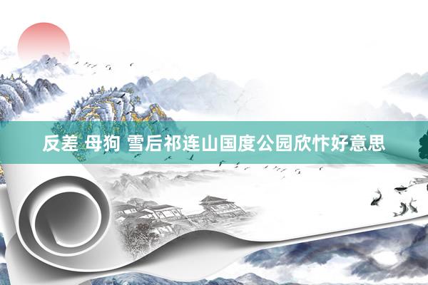 反差 母狗 雪后祁连山国度公园欣忭好意思