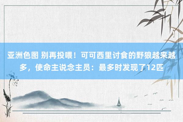 亚洲色图 别再投喂！可可西里讨食的野狼越来越多，使命主说念主员：最多时发现了12匹