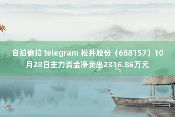 自拍偷拍 telegram 松井股份（688157）10月28日主力资金净卖出2316.86万元