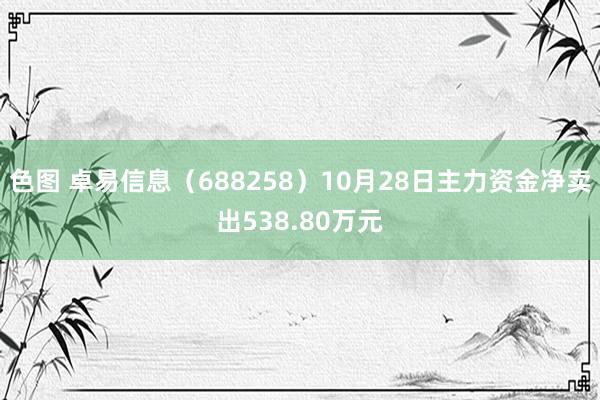 色图 卓易信息（688258）10月28日主力资金净卖出538.80万元