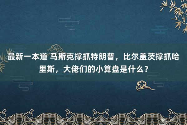 最新一本道 马斯克撑抓特朗普，比尔盖茨撑抓哈里斯，大佬们的小算盘是什么？