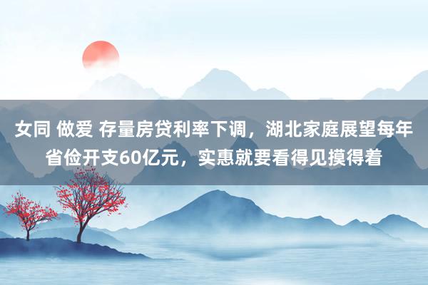 女同 做爱 存量房贷利率下调，湖北家庭展望每年省俭开支60亿元，实惠就要看得见摸得着