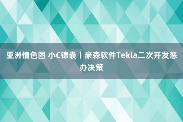 亚洲情色图 小C锦囊丨豪森软件Tekla二次开发惩办决策