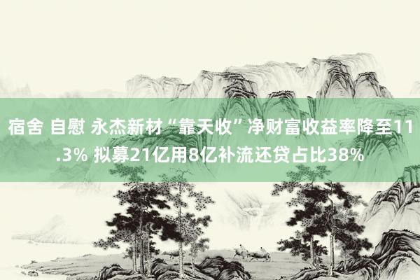 宿舍 自慰 永杰新材“靠天收”净财富收益率降至11.3% 拟募21亿用8亿补流还贷占比38%