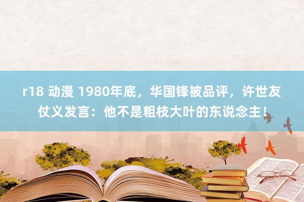 r18 动漫 1980年底，华国锋被品评，许世友仗义发言：他不是粗枝大叶的东说念主！