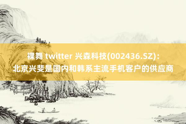 裸舞 twitter 兴森科技(002436.SZ)：北京兴斐是国内和韩系主流手机客户的供应商