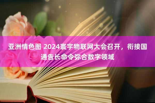 亚洲情色图 2024寰宇物联网大会召开，衔接国通告长命令弥合数字领域