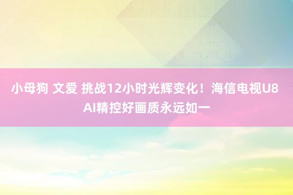 小母狗 文爱 挑战12小时光辉变化！海信电视U8 AI精控好画质永远如一