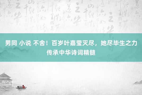 男同 小说 不舍！百岁叶嘉莹灭尽，她尽毕生之力传承中华诗词精髓