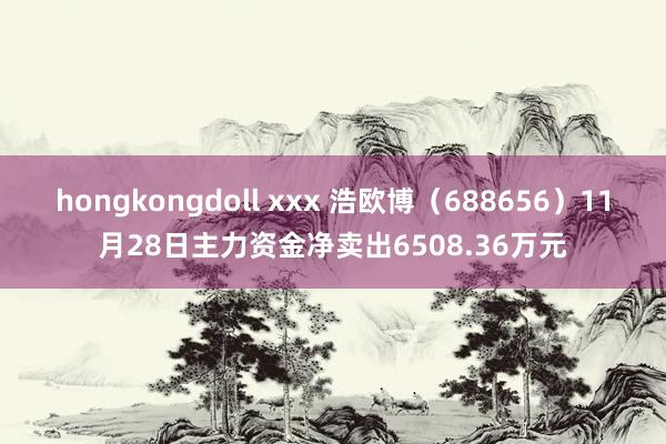 hongkongdoll xxx 浩欧博（688656）11月28日主力资金净卖出6508.36万元