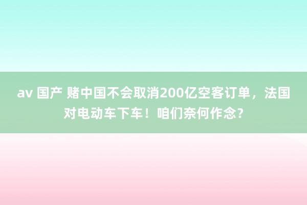 av 国产 赌中国不会取消200亿空客订单，法国对电动车下车！咱们奈何作念？