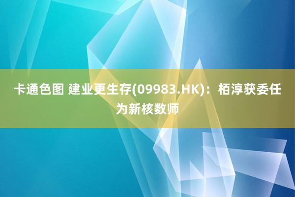 卡通色图 建业更生存(09983.HK)：栢淳获委任为新核数师