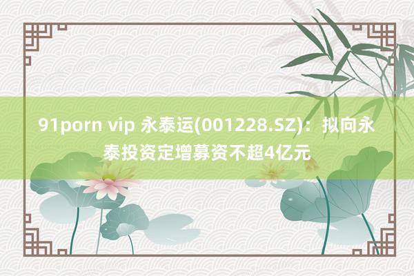 91porn vip 永泰运(001228.SZ)：拟向永泰投资定增募资不超4亿元