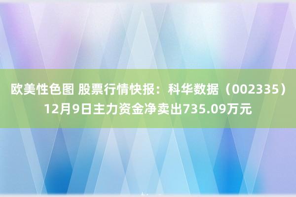 欧美性色图 股票行情快报：科华数据（002335）12月9日主力资金净卖出735.09万元