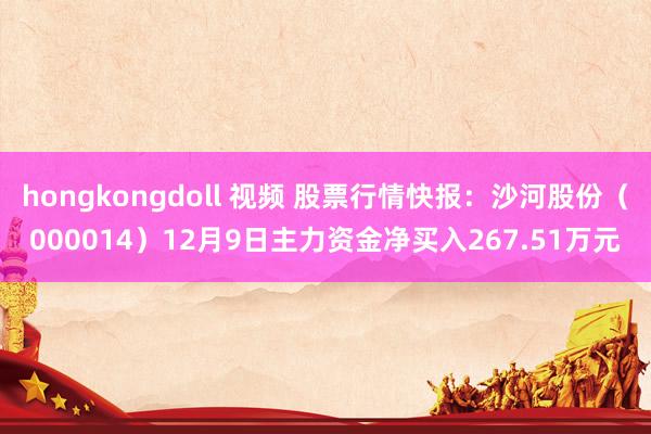 hongkongdoll 视频 股票行情快报：沙河股份（000014）12月9日主力资金净买入267.51万元