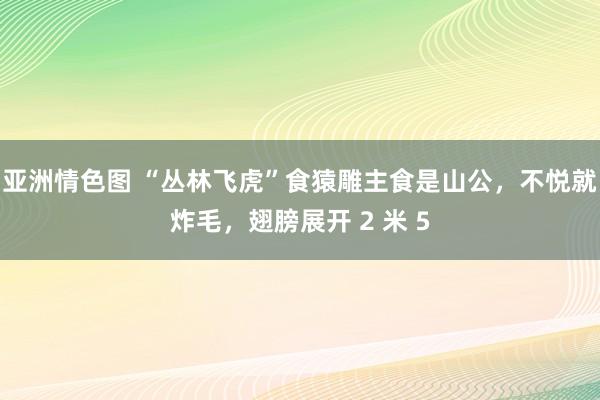 亚洲情色图 “丛林飞虎”食猿雕主食是山公，不悦就炸毛，翅膀展开 2 米 5