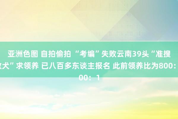 亚洲色图 自拍偷拍 “考编”失败云南39头“准搜救犬”求领养 已八百多东谈主报名 此前领养比为800：1