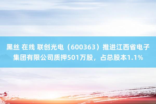 黑丝 在线 联创光电（600363）推进江西省电子集团有限公司质押501万股，占总股本1.1%