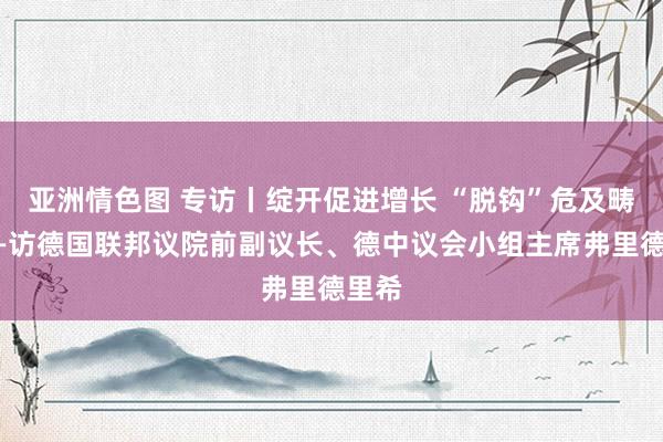 亚洲情色图 专访丨绽开促进增长 “脱钩”危及畴昔——访德国联邦议院前副议长、德中议会小组主席弗里德里希