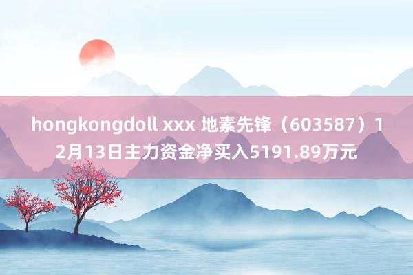 hongkongdoll xxx 地素先锋（603587）12月13日主力资金净买入5191.89万元