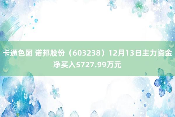 卡通色图 诺邦股份（603238）12月13日主力资金净买入5727.99万元